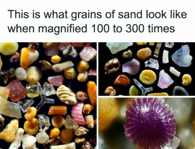 Random Facts (26 pics)