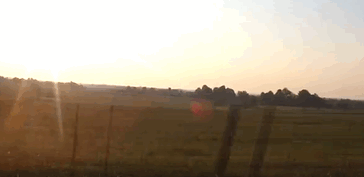 Unusual Thoughts About Living Outside The City (18 gifs)
