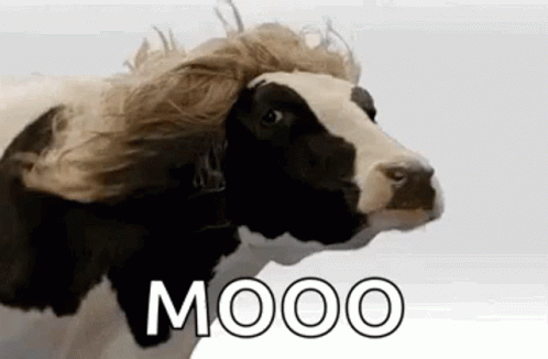 Unusual Thoughts About Living Outside The City (18 gifs)