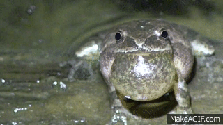Unusual Thoughts About Living Outside The City (18 gifs)