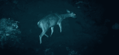 Unusual Thoughts About Living Outside The City (18 gifs)