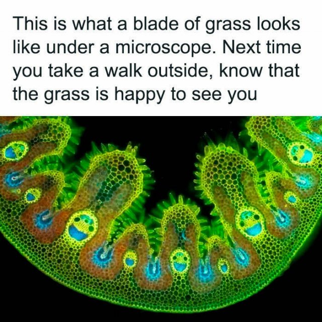 Random Facts (26 pics)