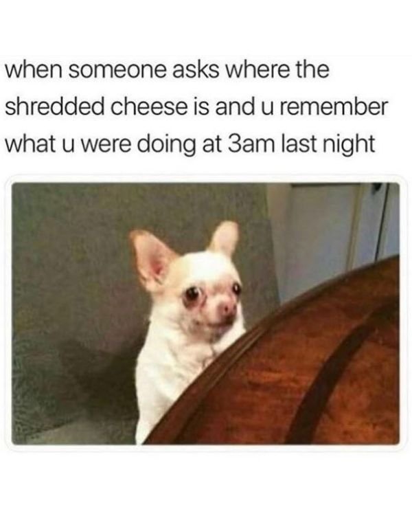 Memes For Cheese Lovers (15 pics)