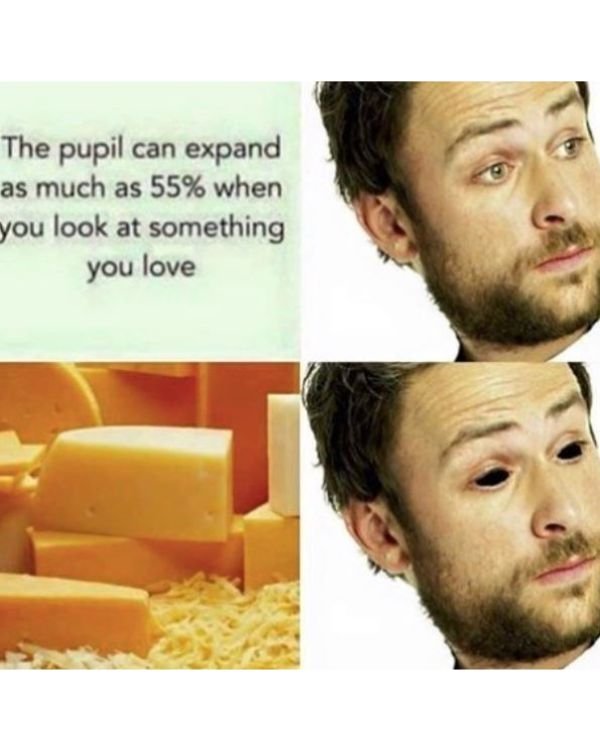 Memes For Cheese Lovers (15 pics)