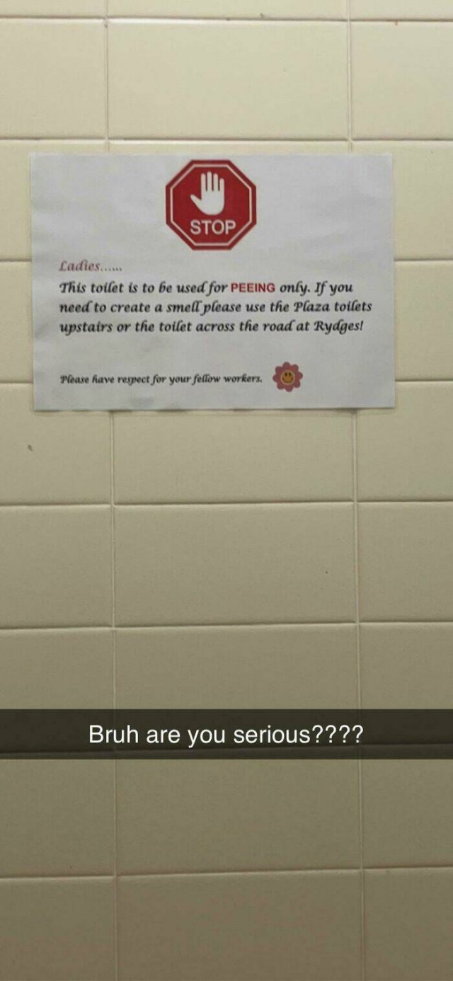 Annoying Prohibitions At Work (24 pics)