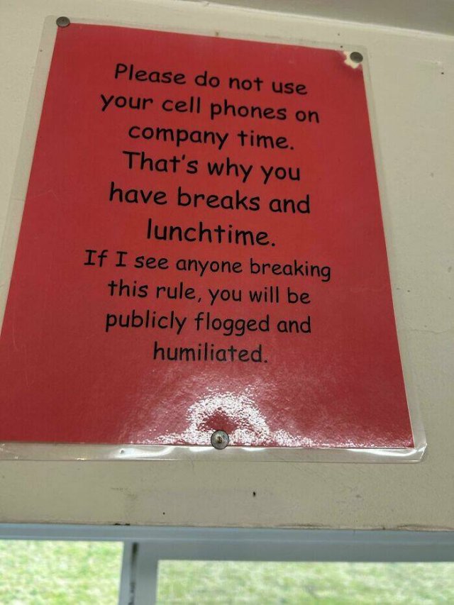 Annoying Prohibitions At Work (24 pics)