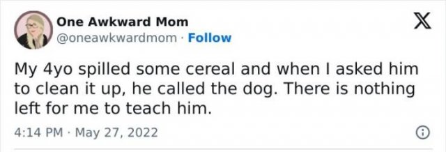 Random Jokes (25 pics)