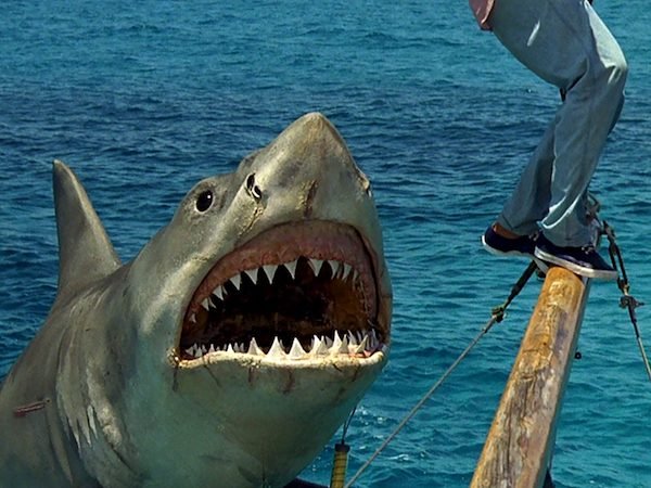Worst Horror Movies (25 pics)