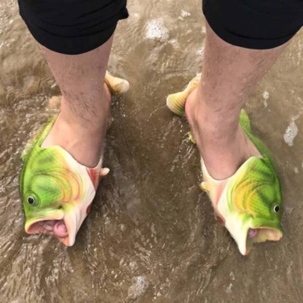 What Is Going On Here? (25 pics)