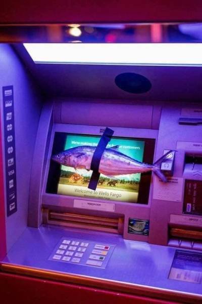 What Is Going On Here? (25 pics)