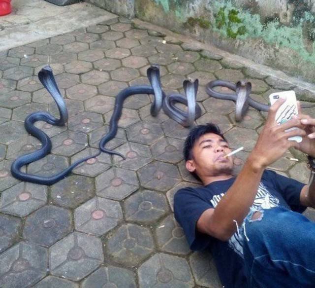 What Is Going On Here? (25 pics)