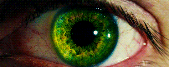 Random Facts (15 gifs)