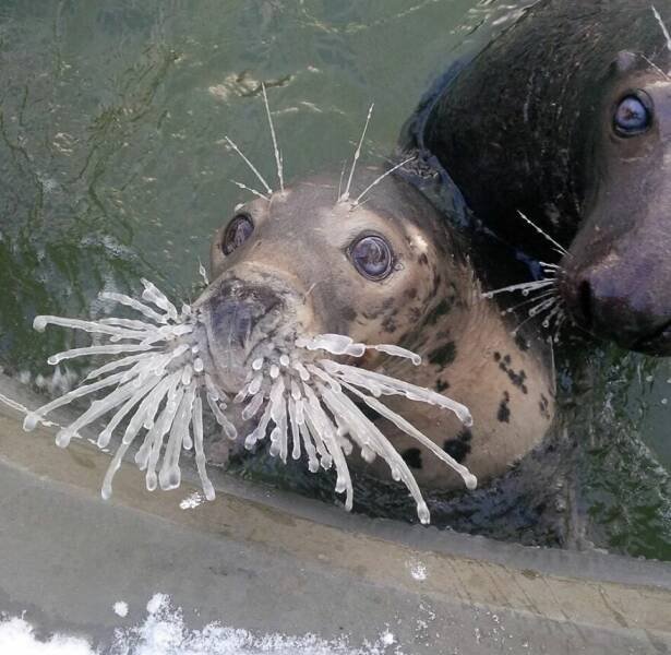 Interesting And Unusual Finds (20 pics)
