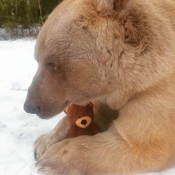 Interesting And Unusual Finds (20 pics)