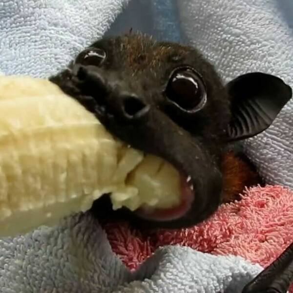Interesting And Unusual Finds (20 pics)