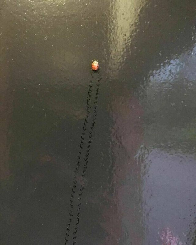 Interesting And Unusual Finds (20 pics)