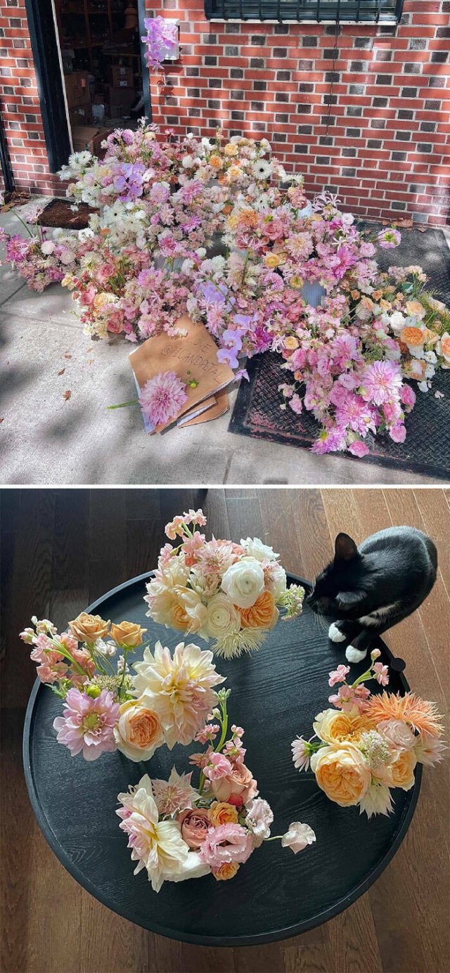 Cool Free Finds On The Street (25 pics)