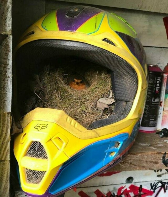 Interesting And Unusual Finds (20 pics)