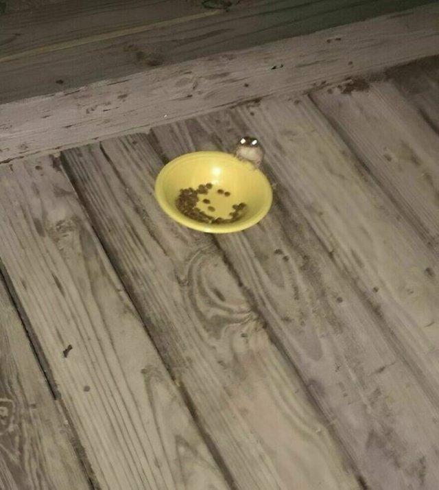 Interesting And Unusual Finds (20 pics)