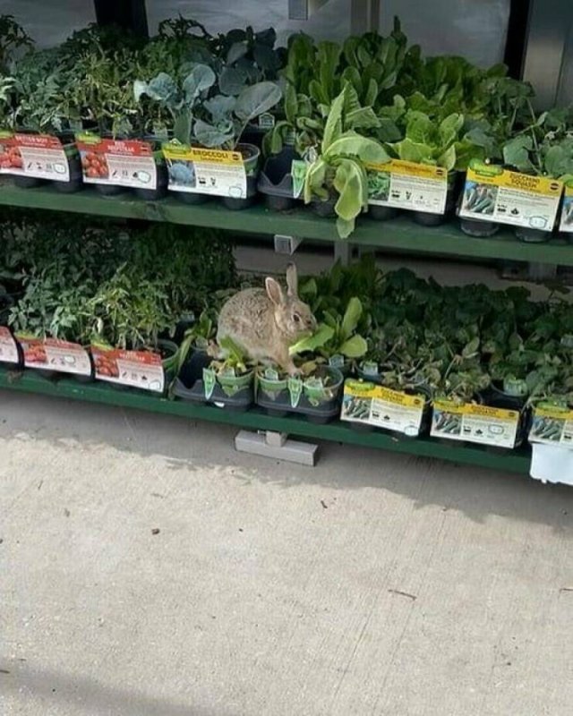 Interesting And Unusual Finds (20 pics)