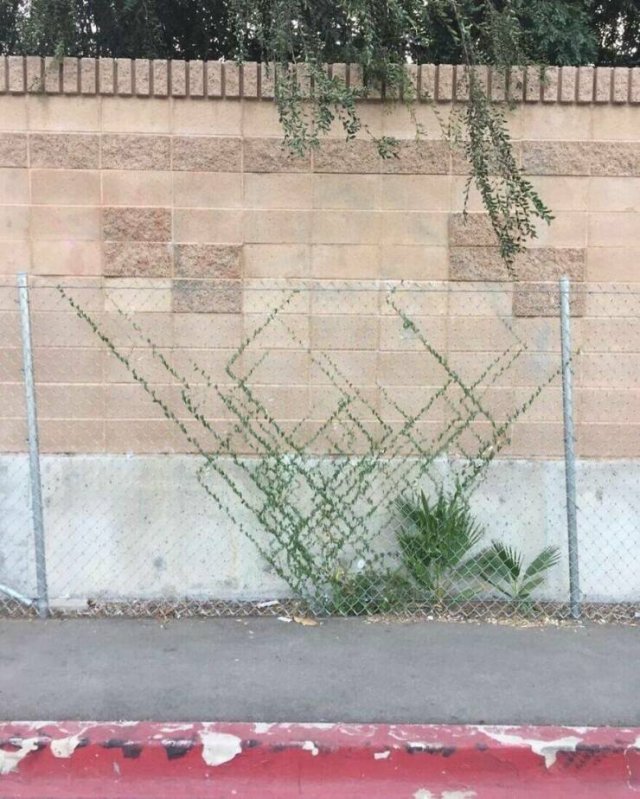 Interesting And Unusual Finds (20 pics)