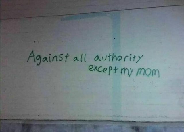 Pictures For Good Mood (28 pics)