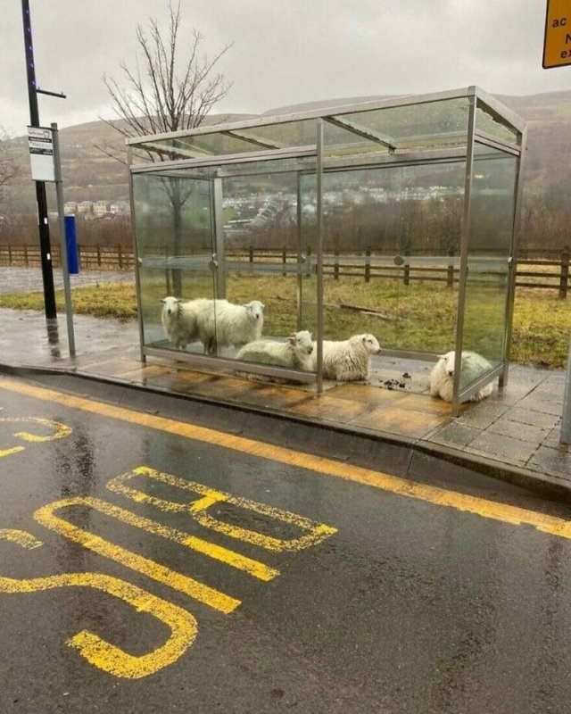 Interesting And Unusual Finds (20 pics)