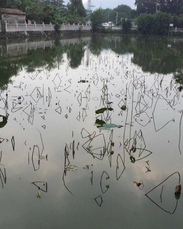 Interesting And Unusual Finds (20 pics)