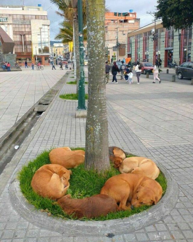 Interesting And Unusual Finds (20 pics)