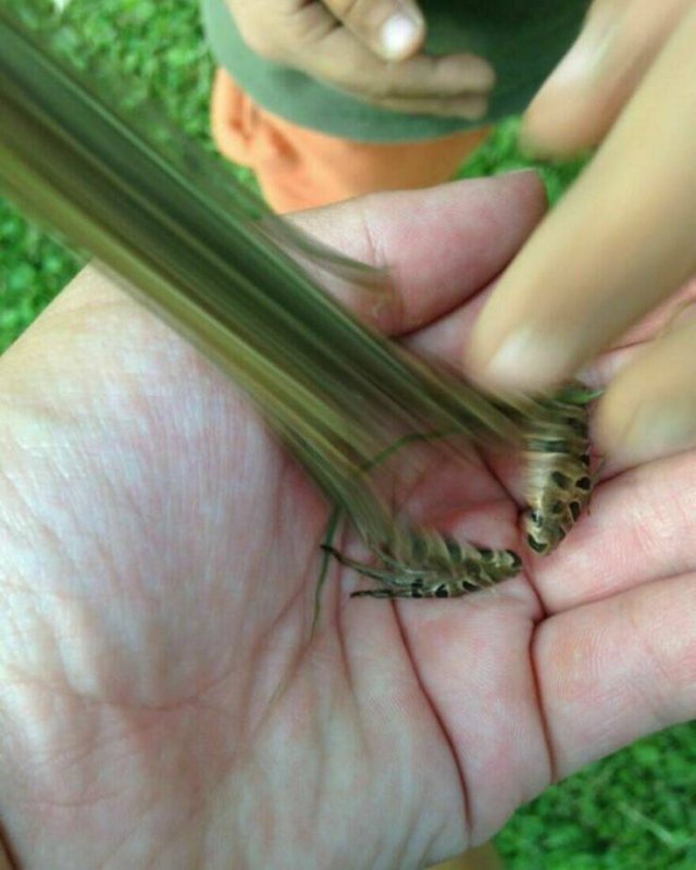 Interesting And Unusual Finds (20 pics)