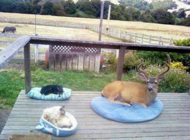 Interesting And Unusual Finds (20 pics)
