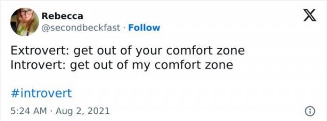 Memes For Introverts (25 pics)