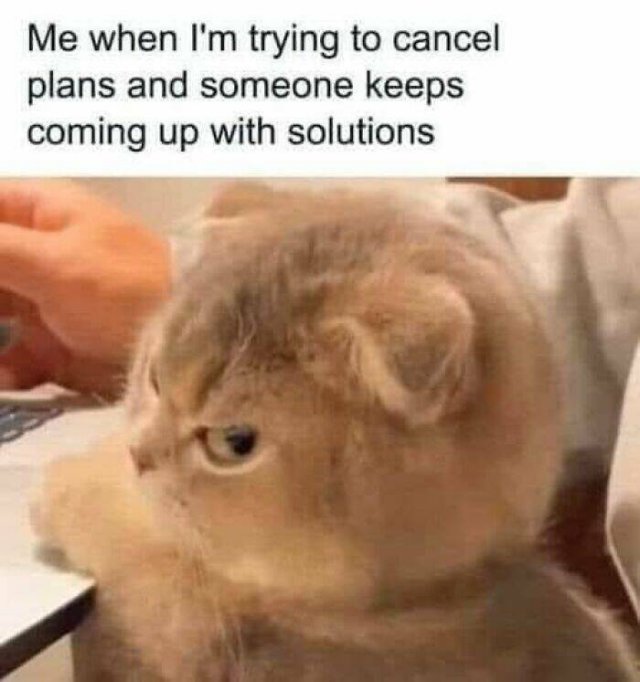 Memes For Introverts (25 pics)