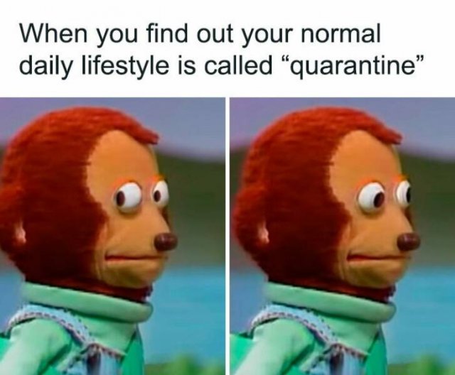 Memes For Introverts (25 pics)
