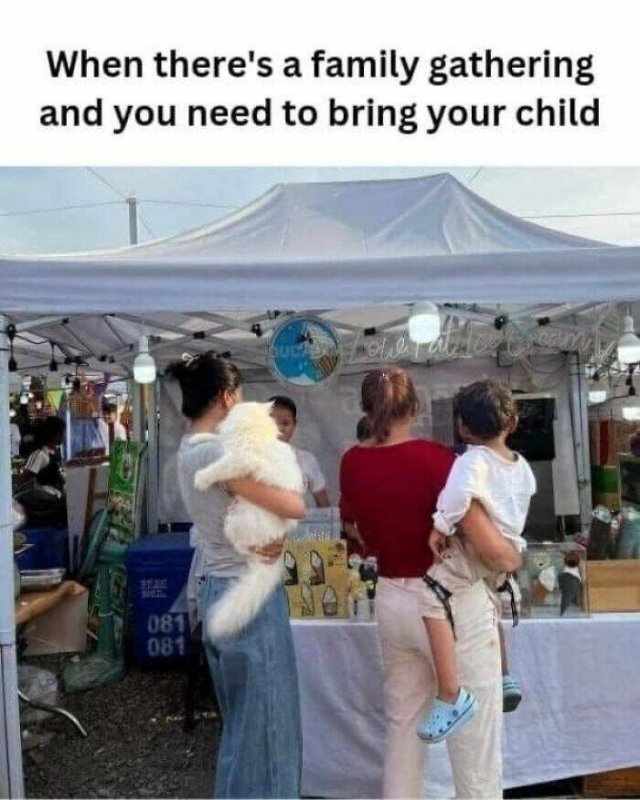 Random Jokes (25 pics)