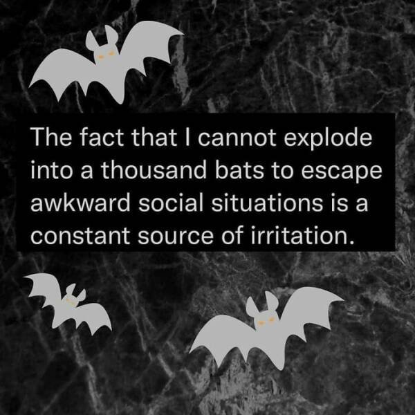 Memes For Introverts (25 pics)