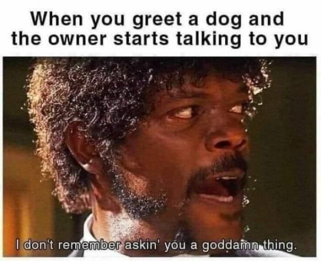 Memes For Introverts (25 pics)