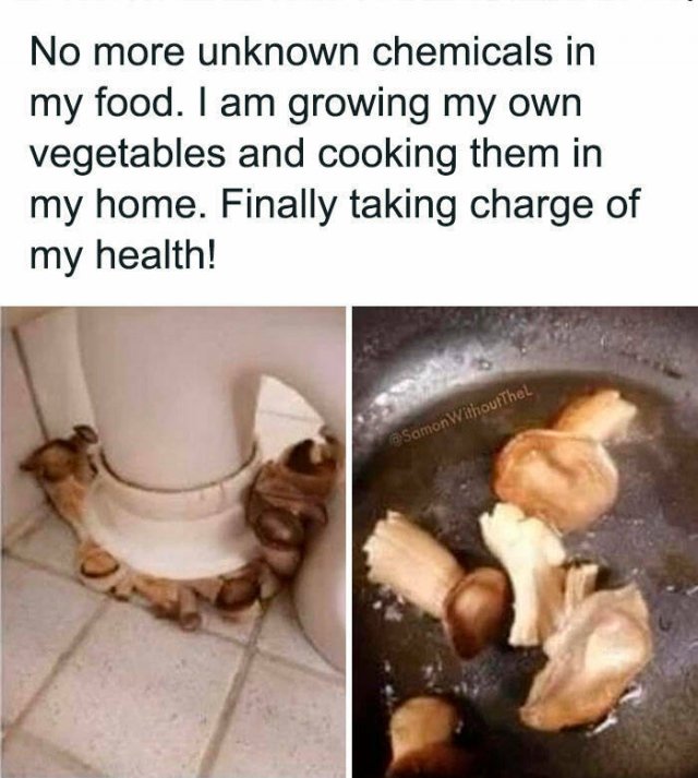 Random Jokes (25 pics)
