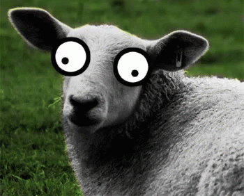 Random Facts (13 gifs) Random Facts (13 gifs)