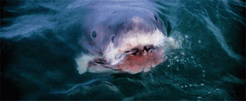 Crazy Thoughts (14 gifs) Crazy Thoughts (14 gifs)