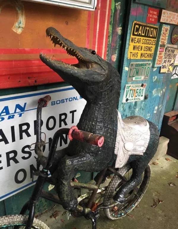 What Is Going On Here? (27 pics)