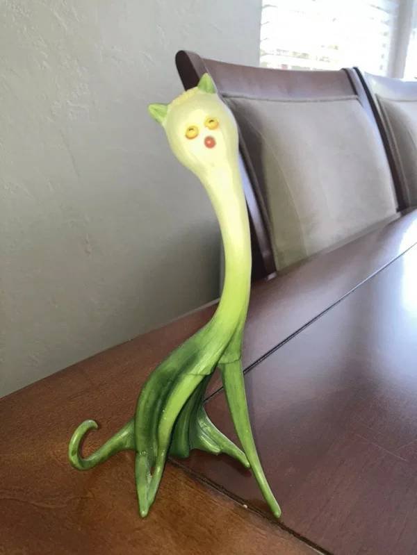 What Is Going On Here? (27 pics)