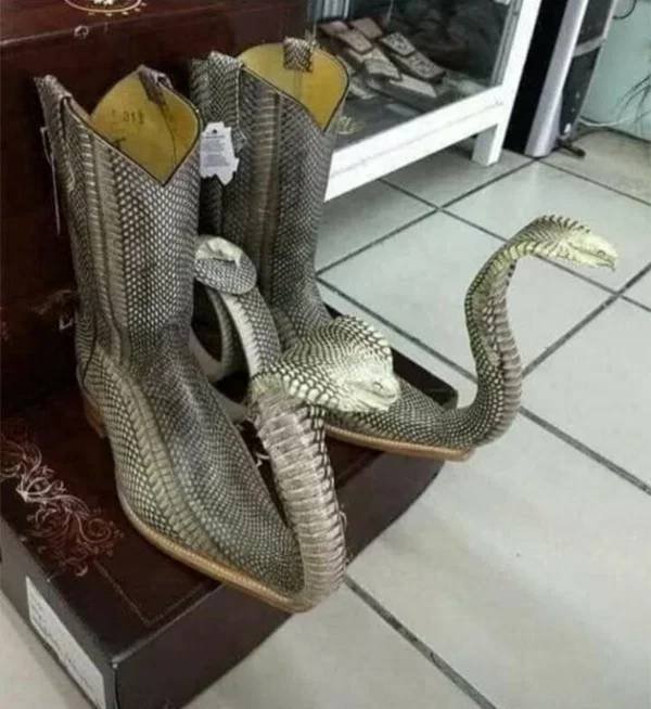What Is Going On Here? (27 pics)