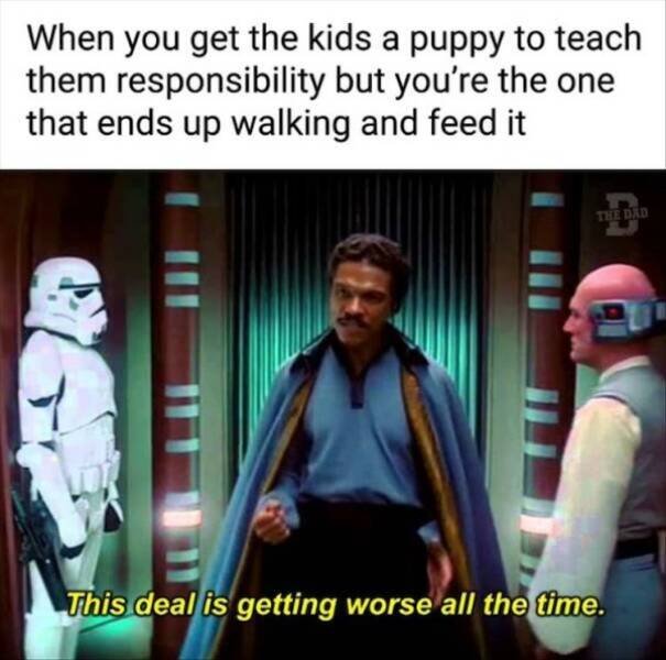 Truthful Memes (18 pics)