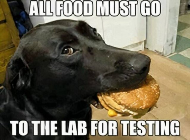 Entertaining Puns (23 pics)