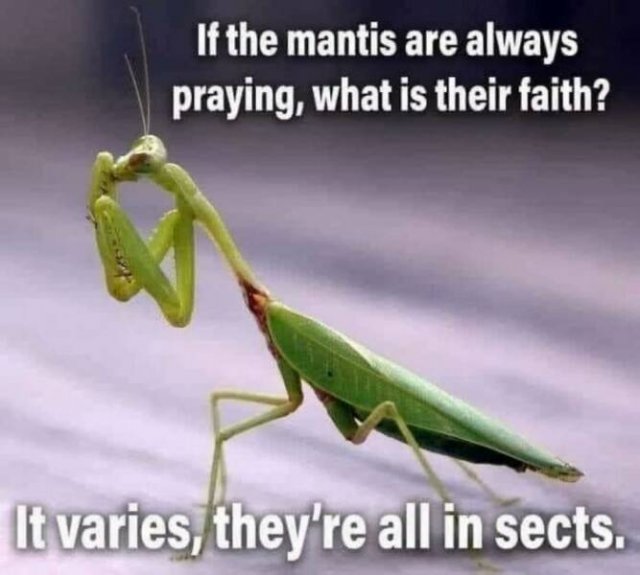 Entertaining Puns (23 pics)