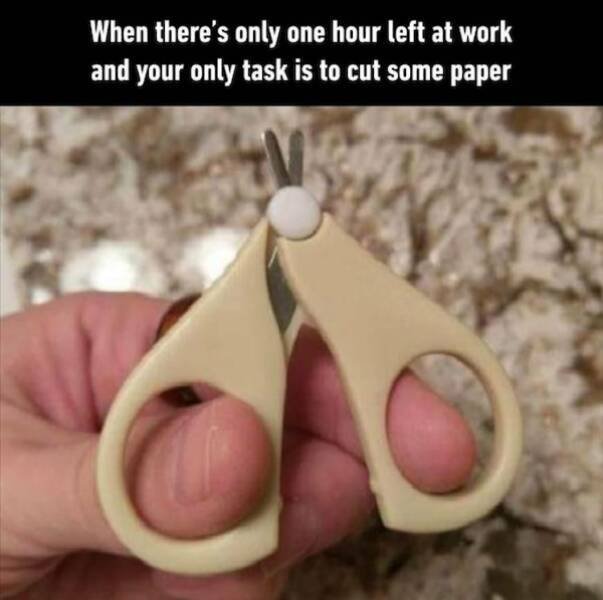 Truthful Memes (18 pics)