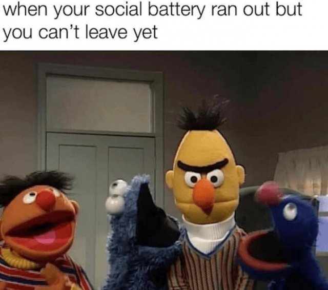 Truthful Memes (18 pics)