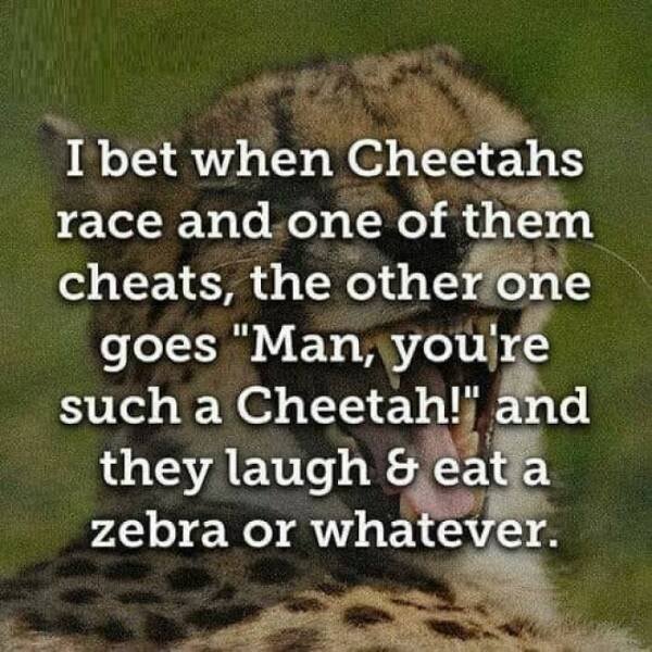 Entertaining Puns (23 pics)