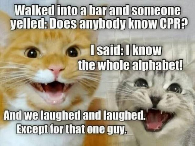 Entertaining Puns (23 pics)
